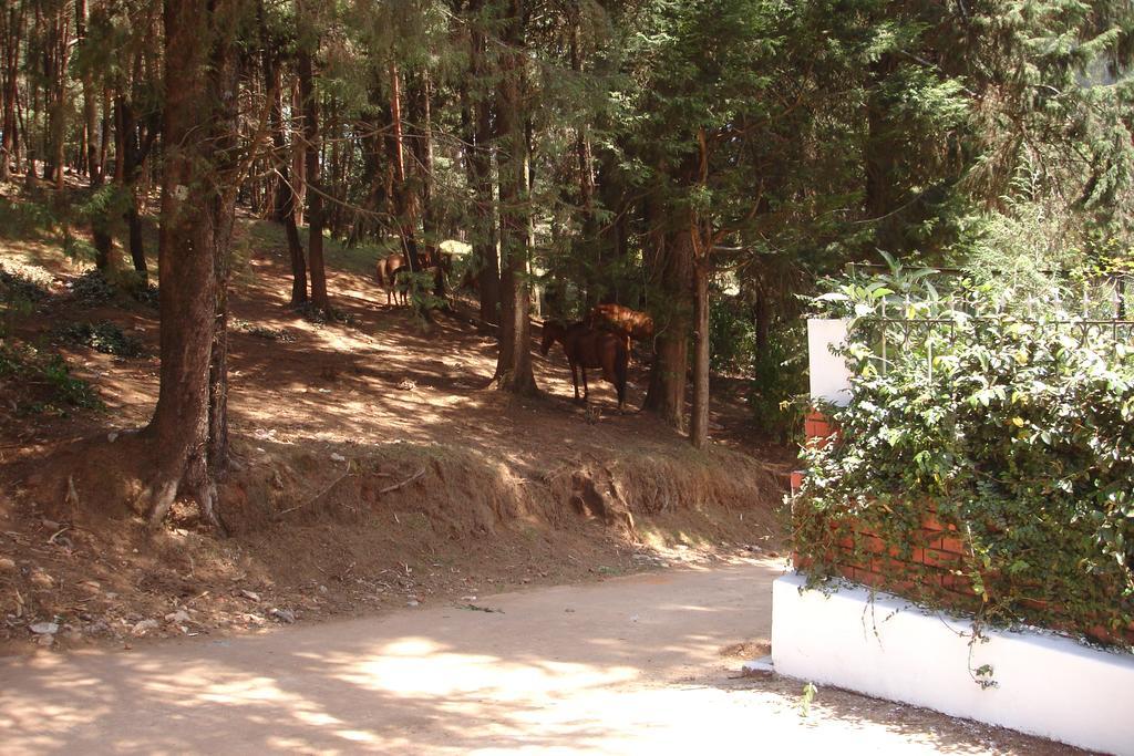 The Red House Bed & Breakfast Udagamandalam Exterior photo